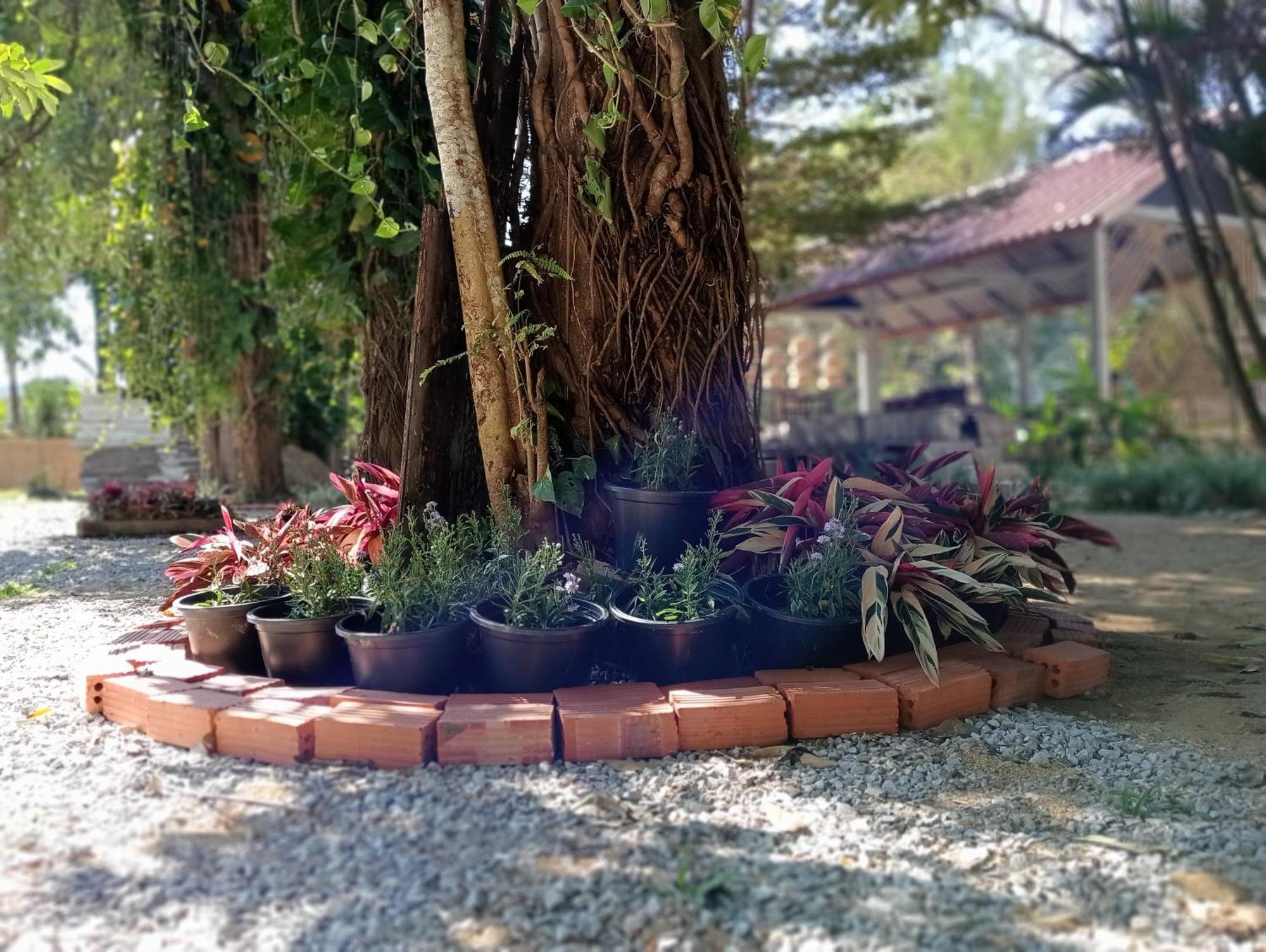 Vangvieng Ruby'Homestay Vangviang Kültér fotó