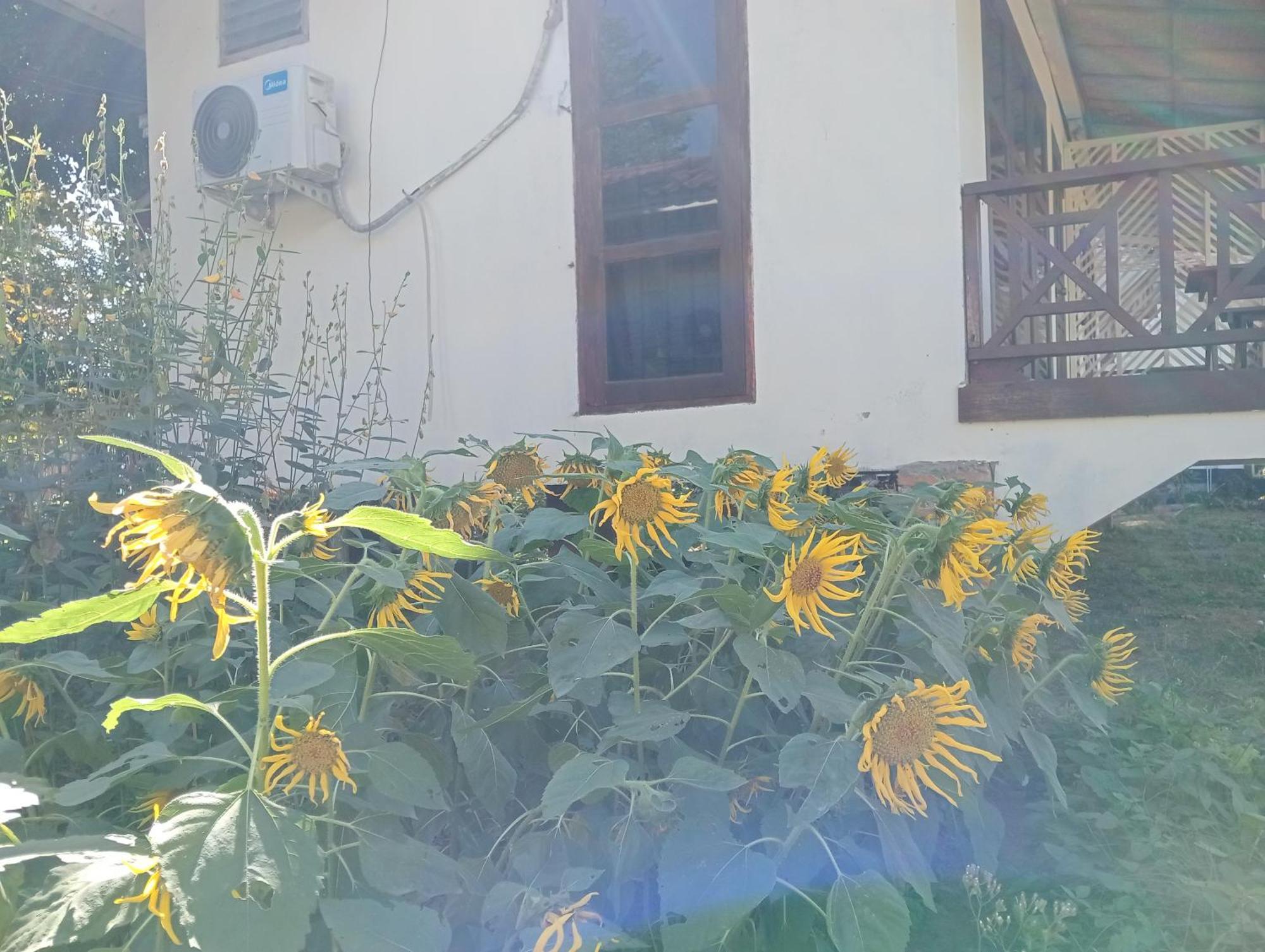 Vangvieng Ruby'Homestay Vangviang Kültér fotó