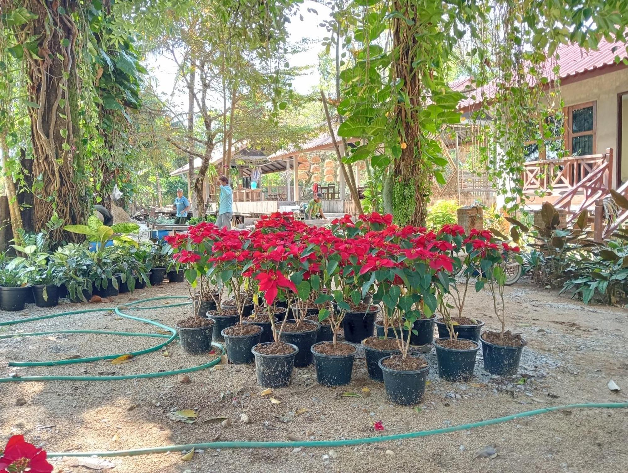 Vangvieng Ruby'Homestay Vangviang Kültér fotó